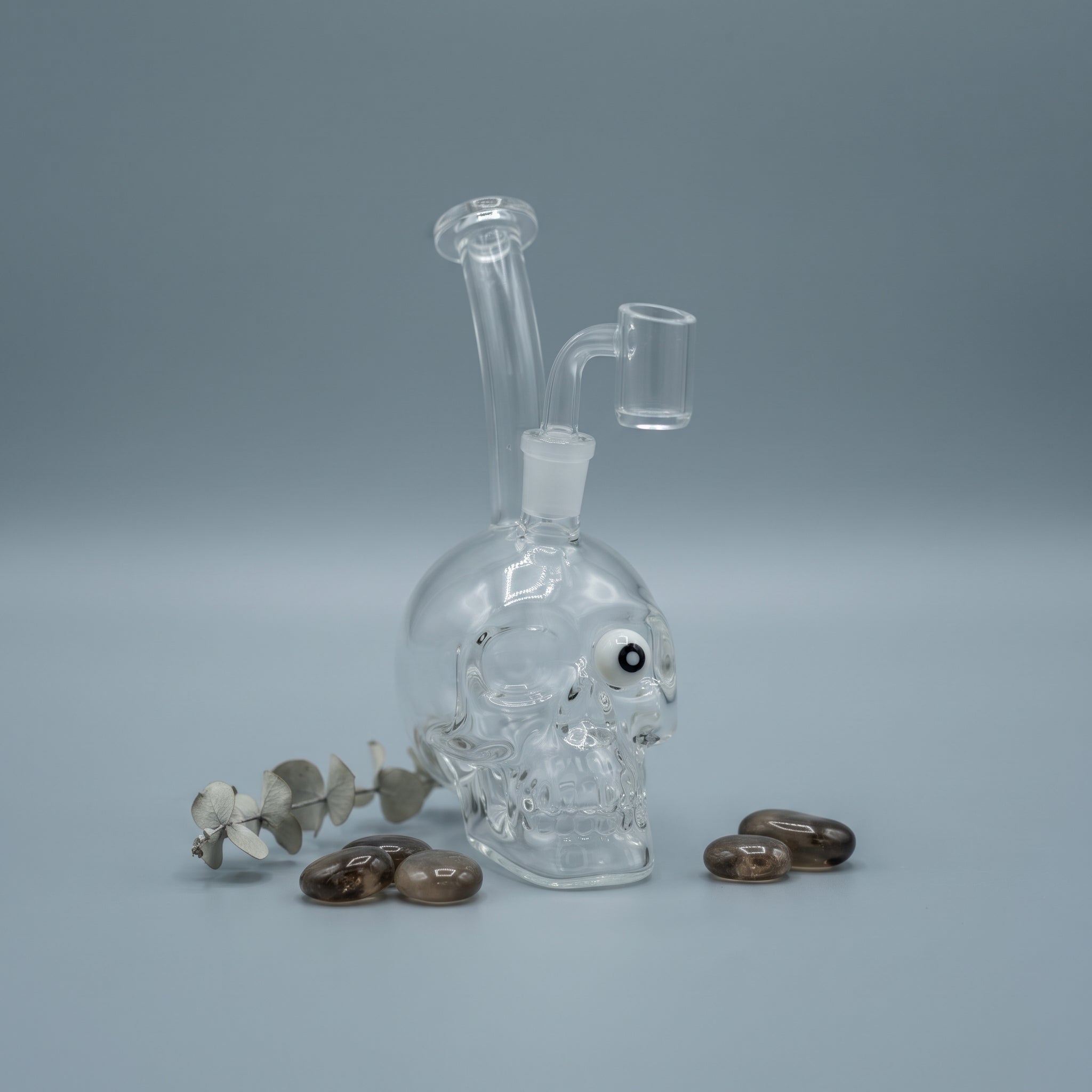 WP06 SKULL RIG