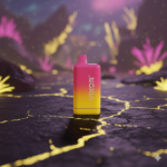 DV05 VIXOR AUTO BATTERY (10CT)